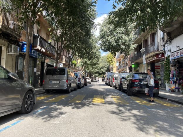Les veïnes i veïns de Collblanc-La Torrassa demanen la permanència de l'arbrat de Martí i Julià